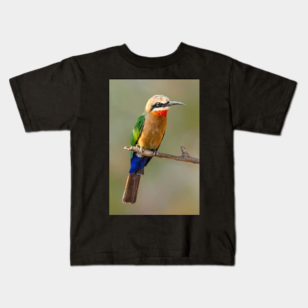 Whitefronted Bee-eater, Botswana Kids T-Shirt by scotch